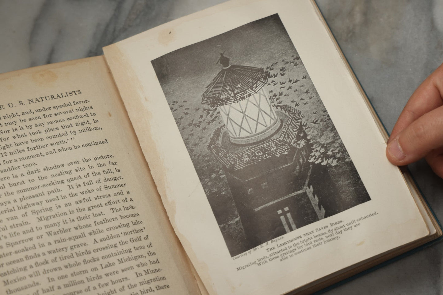 Lot 316 - "The Boy With The U.S. Naturalists" Antique Illustrated Adventure Book By Francis Rolt-Wheeler, Published By Lothrop, Lee & Shepard Co., Boston, 1918