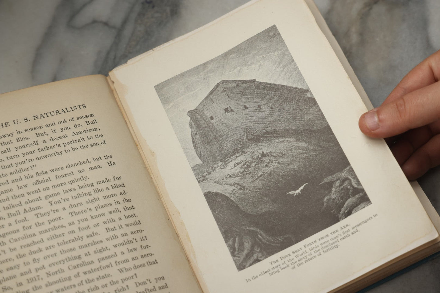 Lot 316 - "The Boy With The U.S. Naturalists" Antique Illustrated Adventure Book By Francis Rolt-Wheeler, Published By Lothrop, Lee & Shepard Co., Boston, 1918