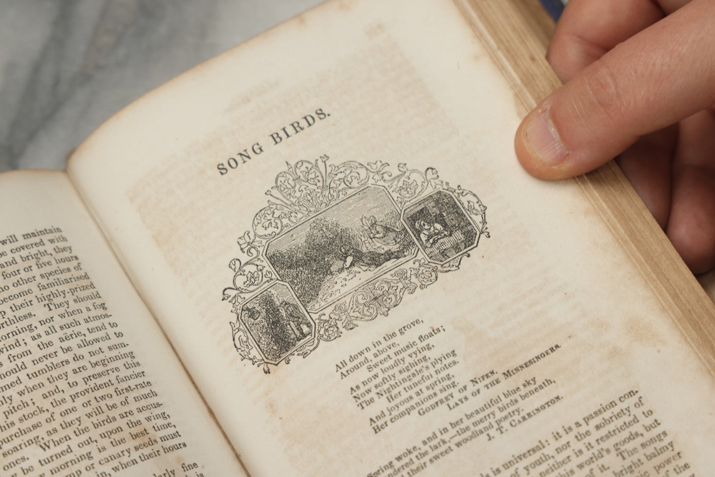 Lot 319 - "The Boy's Treasury Of Sports, Pastimes, And Recreations" Antique Illustrated Book, Designed By Williams And Engraved By Gilbert, Published By Clark, Austin & Smith, New York, 1854