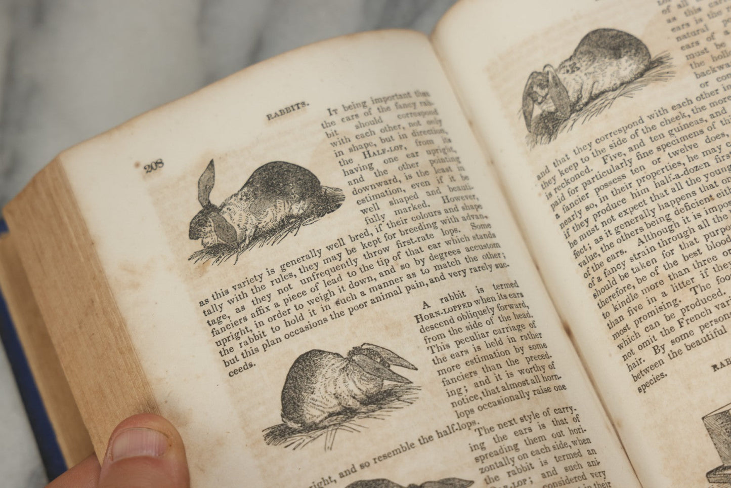 Lot 319 - "The Boy's Treasury Of Sports, Pastimes, And Recreations" Antique Illustrated Book, Designed By Williams And Engraved By Gilbert, Published By Clark, Austin & Smith, New York, 1854