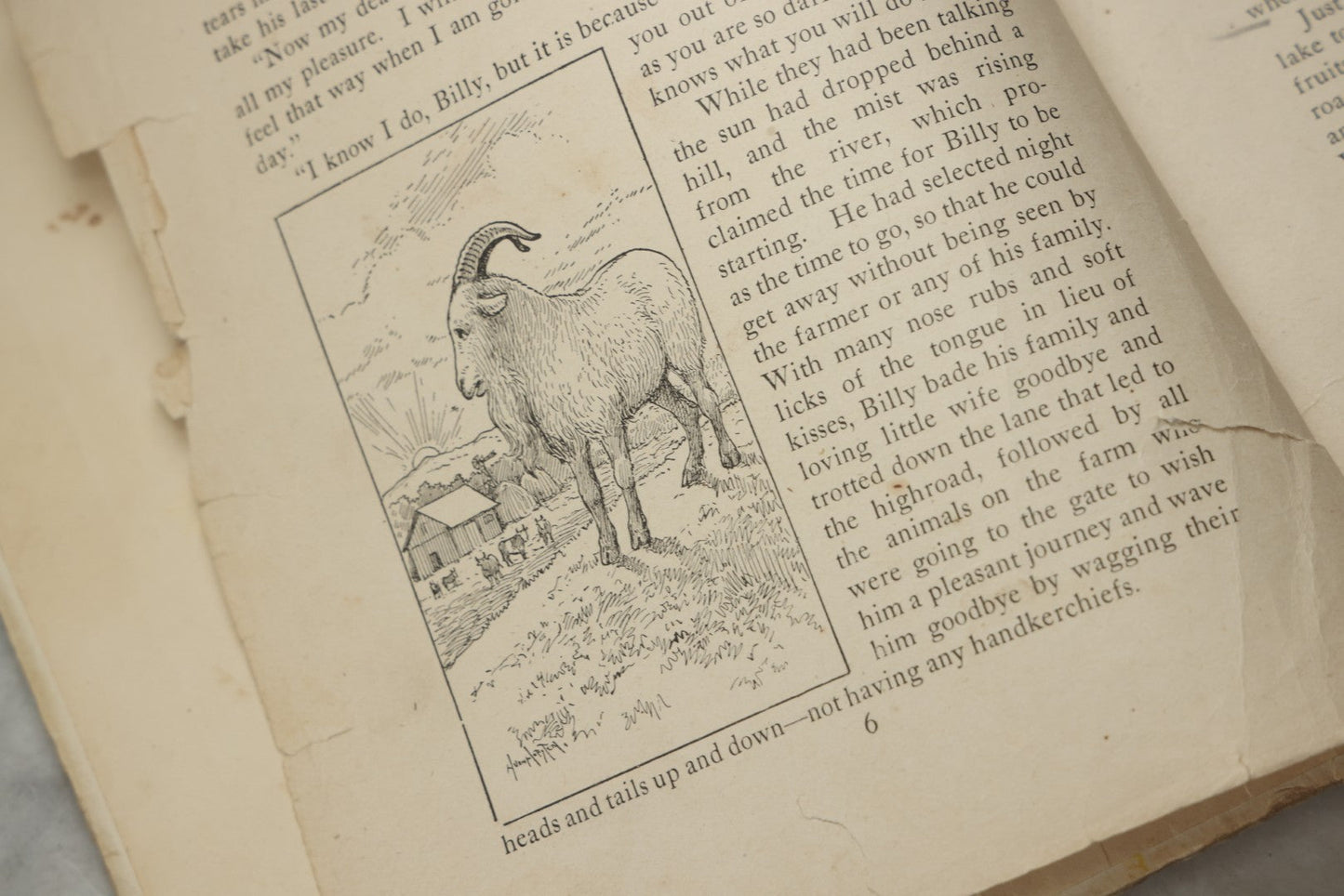 Lot 325 - "Billy Whiskers' Vacation" Antique Children's Book By Francis Trego Montgomery, Illustrated By Hugo Van Hofsten, Note Poor Condition