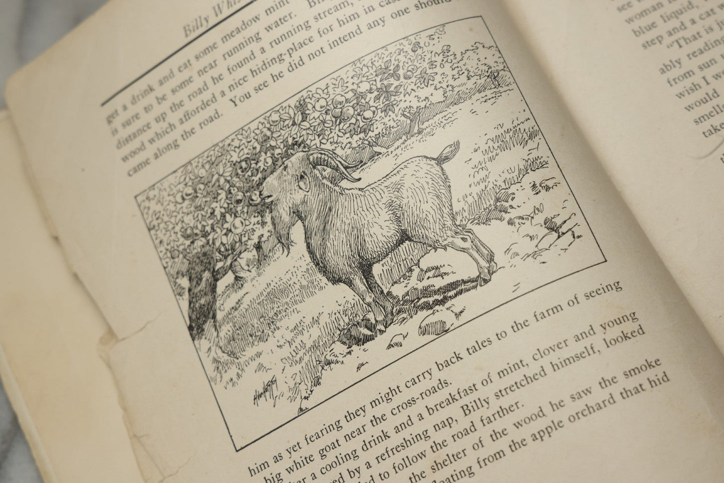 Lot 325 - "Billy Whiskers' Vacation" Antique Children's Book By Francis Trego Montgomery, Illustrated By Hugo Van Hofsten, Note Poor Condition