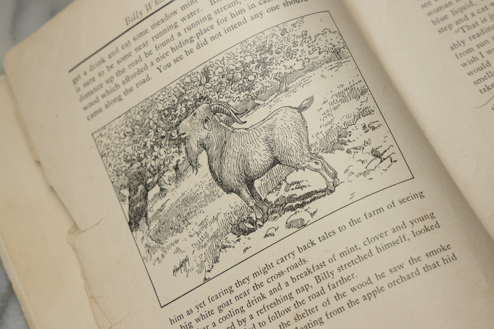 Lot 325 - "Billy Whiskers' Vacation" Antique Children's Book By Francis Trego Montgomery, Illustrated By Hugo Van Hofsten, Note Poor Condition