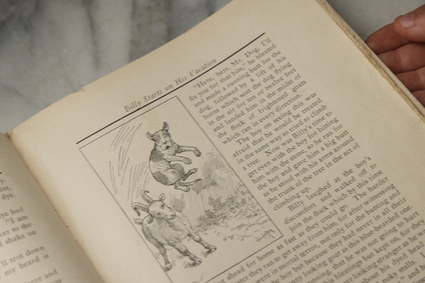 Lot 325 - "Billy Whiskers' Vacation" Antique Children's Book By Francis Trego Montgomery, Illustrated By Hugo Van Hofsten, Note Poor Condition
