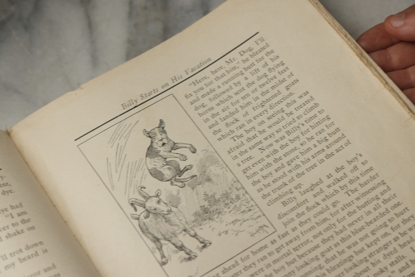Lot 325 - "Billy Whiskers' Vacation" Antique Children's Book By Francis Trego Montgomery, Illustrated By Hugo Van Hofsten, Note Poor Condition
