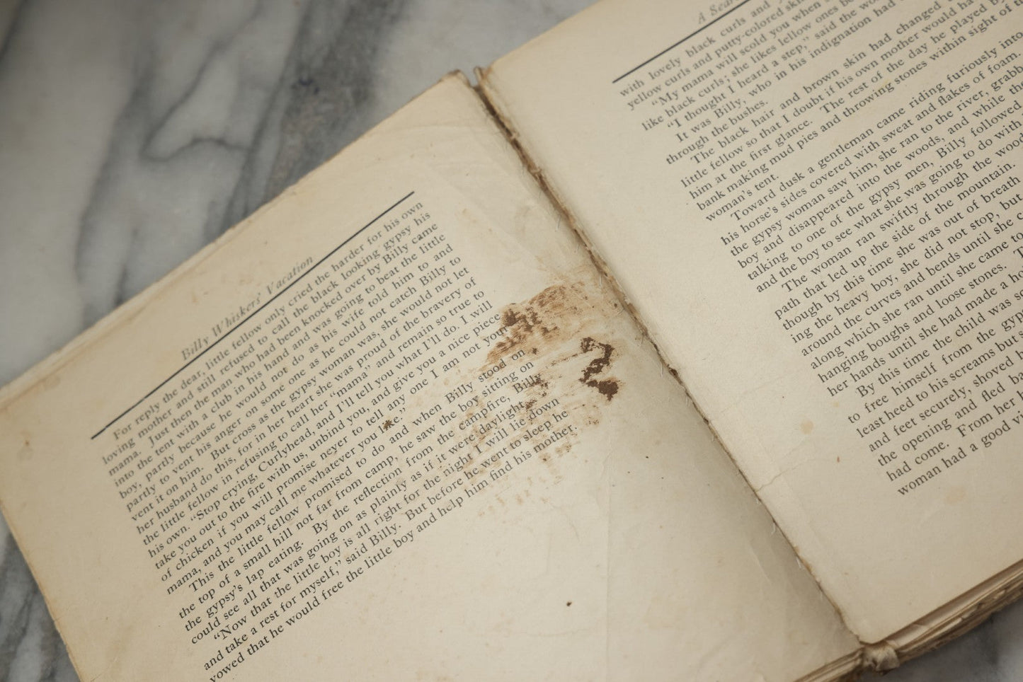 Lot 325 - "Billy Whiskers' Vacation" Antique Children's Book By Francis Trego Montgomery, Illustrated By Hugo Van Hofsten, Note Poor Condition
