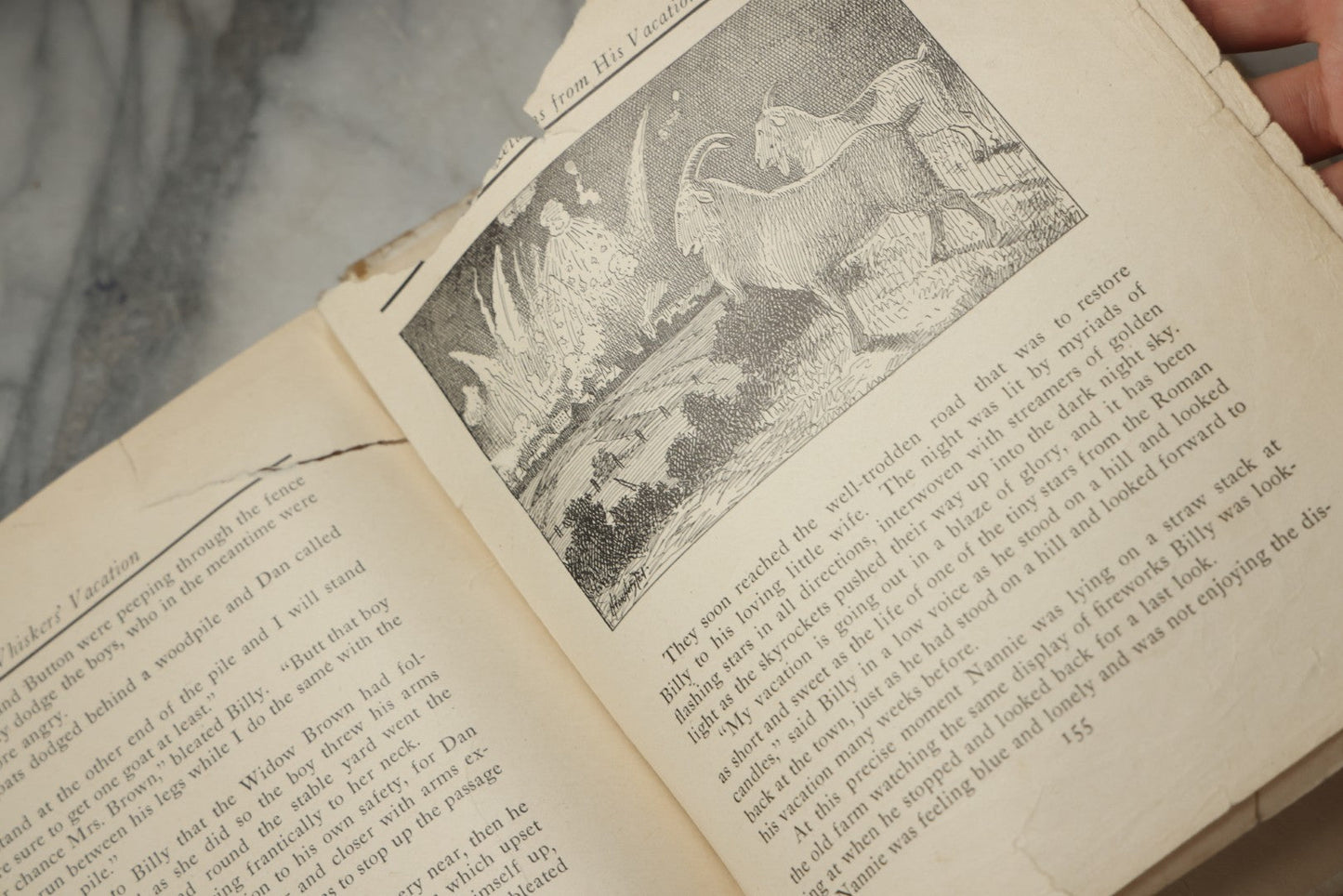 Lot 325 - "Billy Whiskers' Vacation" Antique Children's Book By Francis Trego Montgomery, Illustrated By Hugo Van Hofsten, Note Poor Condition