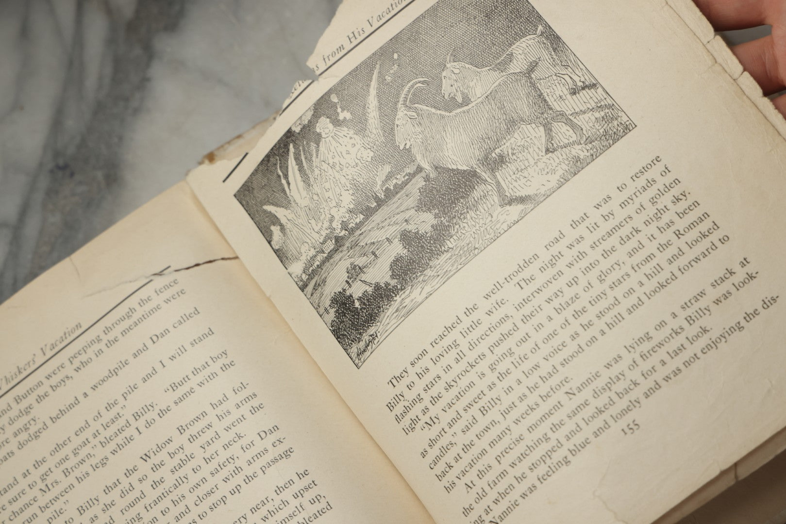 Lot 325 - "Billy Whiskers' Vacation" Antique Children's Book By Francis Trego Montgomery, Illustrated By Hugo Van Hofsten, Note Poor Condition