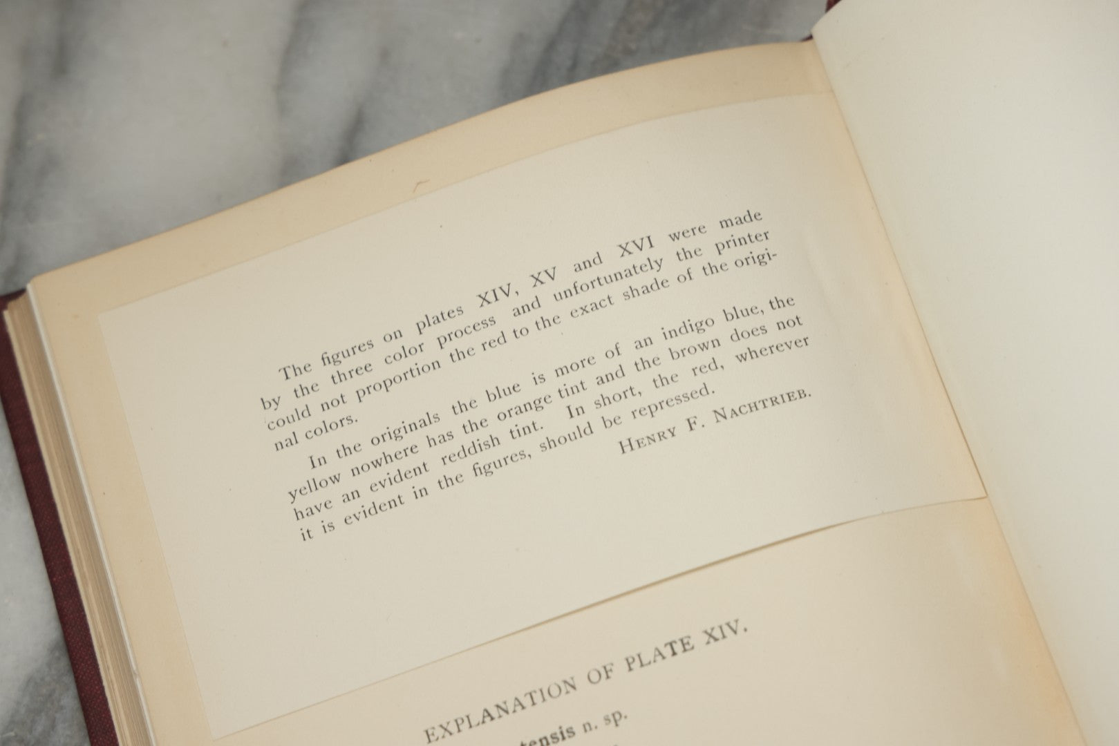 Lot 332 - "The Collembola Of Minnesota" Antique Entomological Scientific Monograph On Springtails (Hexapods) By Joseph E. Guthrie, M.S., Edited By Henry F. Nachtrieb, Published By The Geological And Natural History Survey Of Minnesota, March 1903