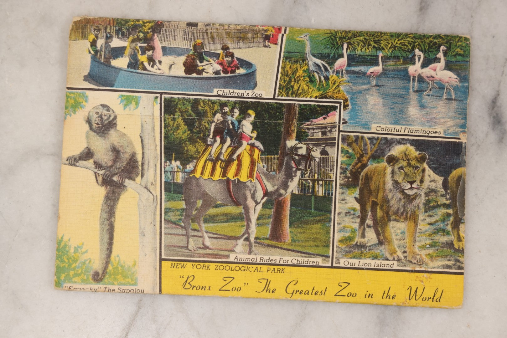 Lot 147 - Grouping Of Six Antique And Vintage Souvenir Postcard Folders Including Florida, Texas, The Bronx Zoo, Mount Vernon, Hollywood, And Niagara Falls