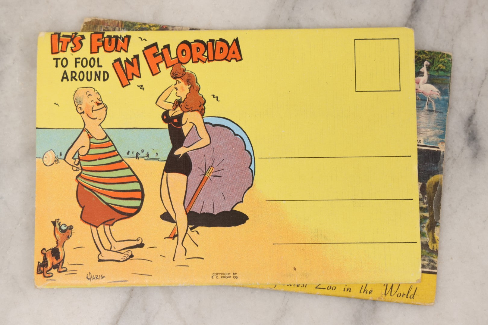 Lot 147 - Grouping Of Six Antique And Vintage Souvenir Postcard Folders Including Florida, Texas, The Bronx Zoo, Mount Vernon, Hollywood, And Niagara Falls