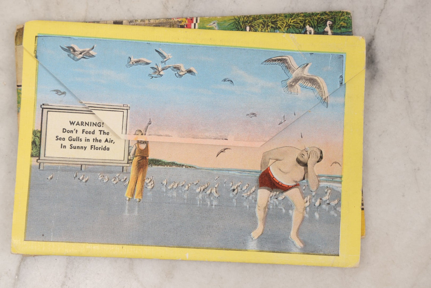 Lot 147 - Grouping Of Six Antique And Vintage Souvenir Postcard Folders Including Florida, Texas, The Bronx Zoo, Mount Vernon, Hollywood, And Niagara Falls