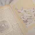 Lot 200 - "The Classic Myths In English Literature And In Art" Antique Illustrated Mythology And Literature Reference Book By Charles Mills Gayley, Based On Bulfinch's "Age Of Fable," Published By Ginn And Company, Boston, 1911