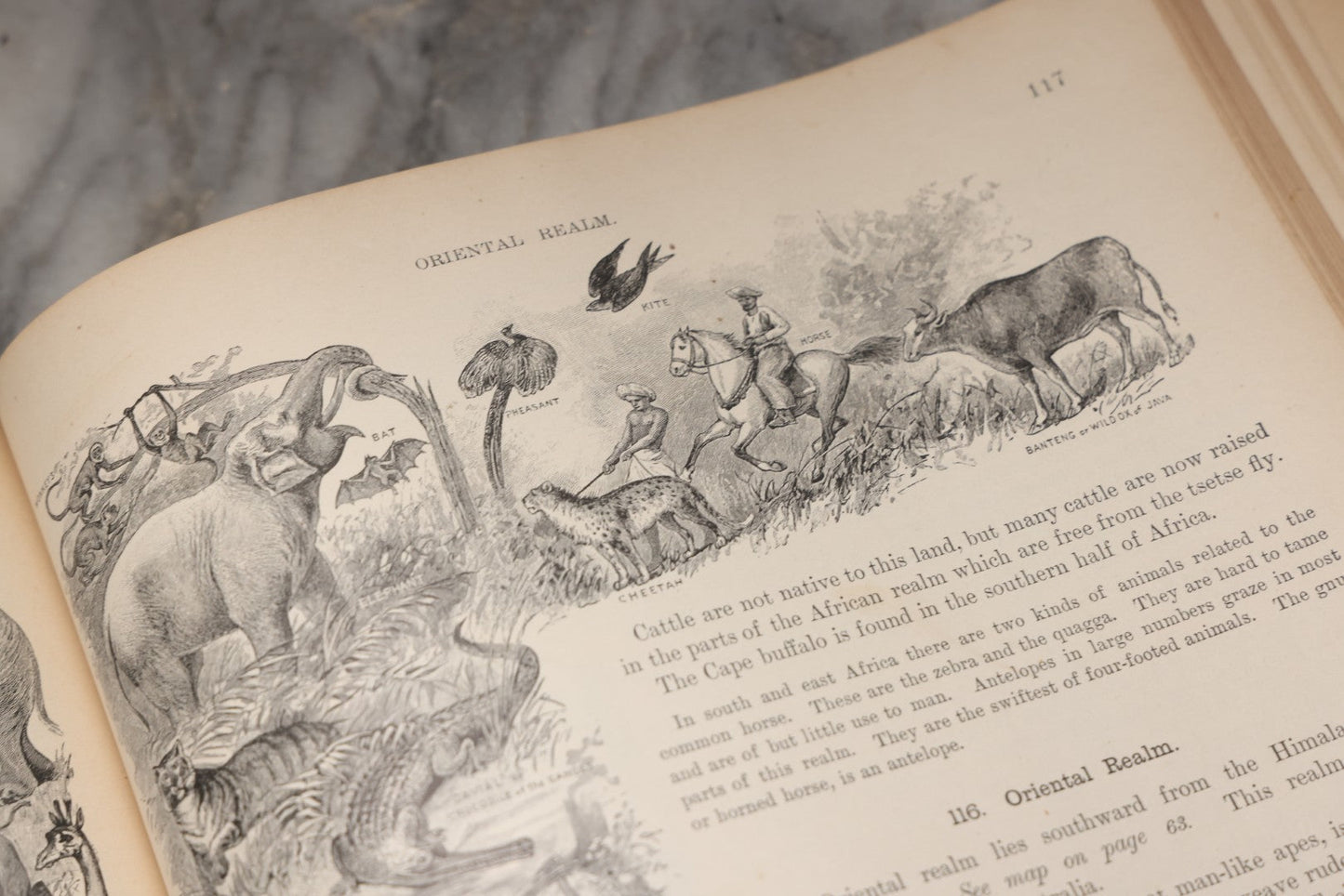 Lot 203 - "Frye's Complete Geography, General Edition" Antique Geography Textbook By Alex Everett Frye, Ginn & Company, 1895