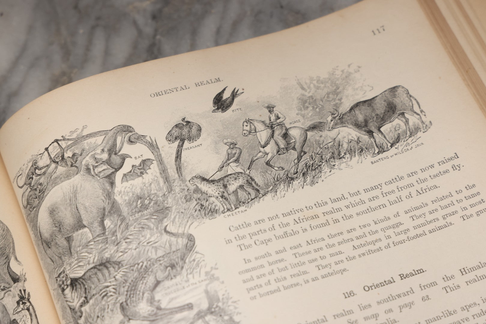 Lot 203 - "Frye's Complete Geography, General Edition" Antique Geography Textbook By Alex Everett Frye, Ginn & Company, 1895