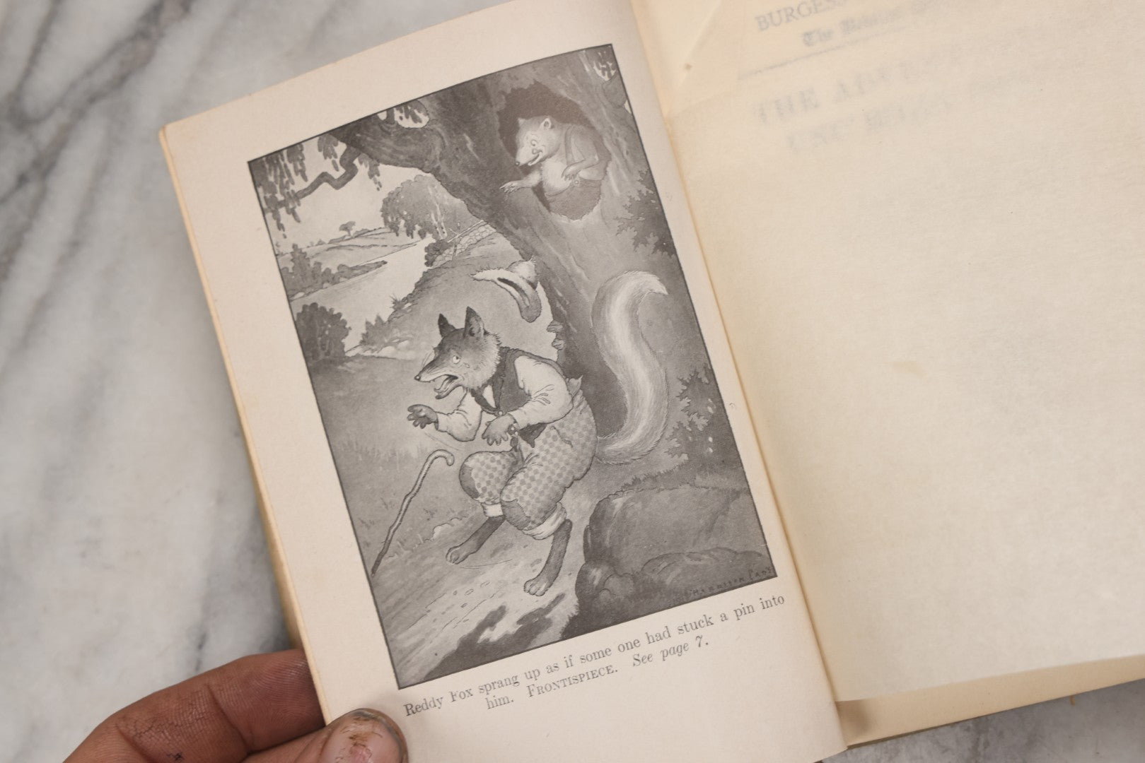 Lot 211 - Grouping Of Six Antique "The Bedtime Story-Books" By Thornton W. Burgess, Illustrated By Harrison Cady, Published By Little, Brown And Company, Boston, 1916–1923