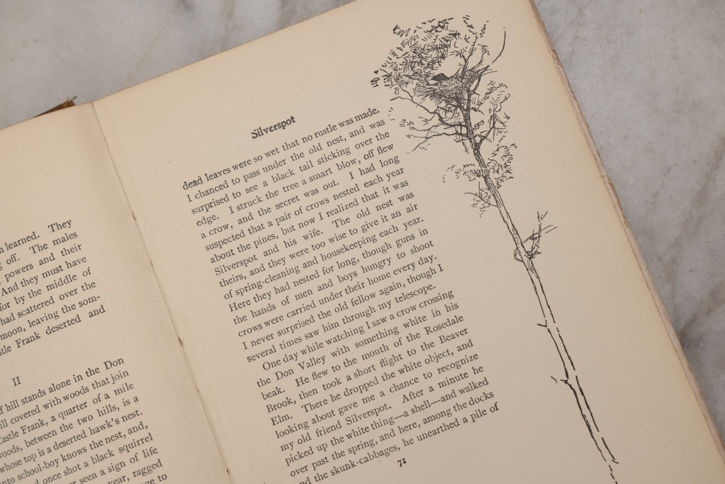 Lot 212 - "Wild Animals I Have Known" Antique Illustrated Book By Ernest Seton Thompson, Charles Scribner's Sons, New York, 1899