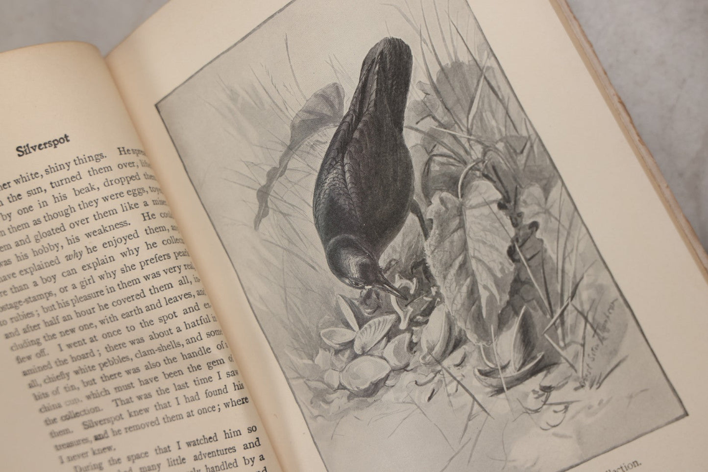 Lot 212 - "Wild Animals I Have Known" Antique Illustrated Book By Ernest Seton Thompson, Charles Scribner's Sons, New York, 1899