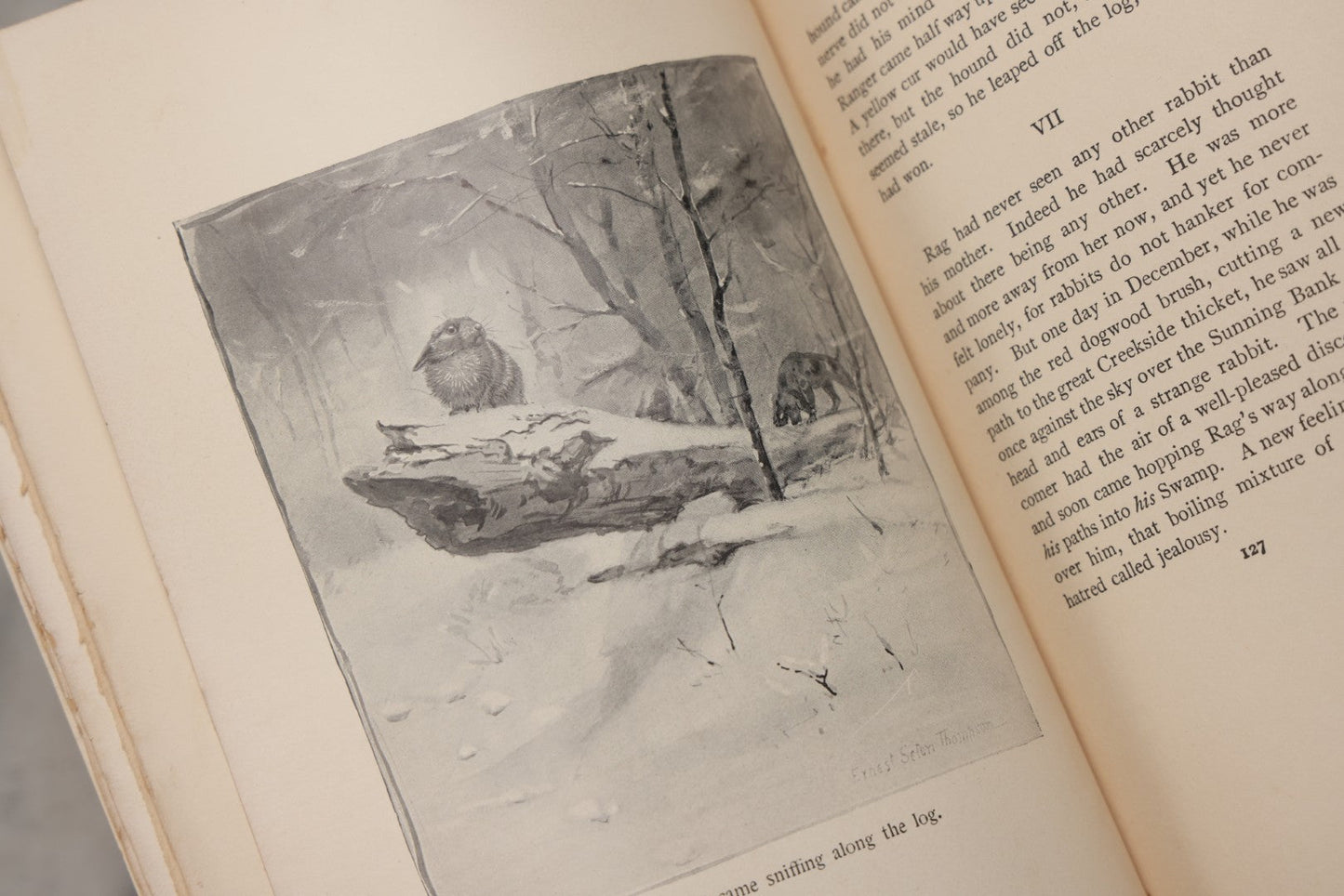 Lot 212 - "Wild Animals I Have Known" Antique Illustrated Book By Ernest Seton Thompson, Charles Scribner's Sons, New York, 1899