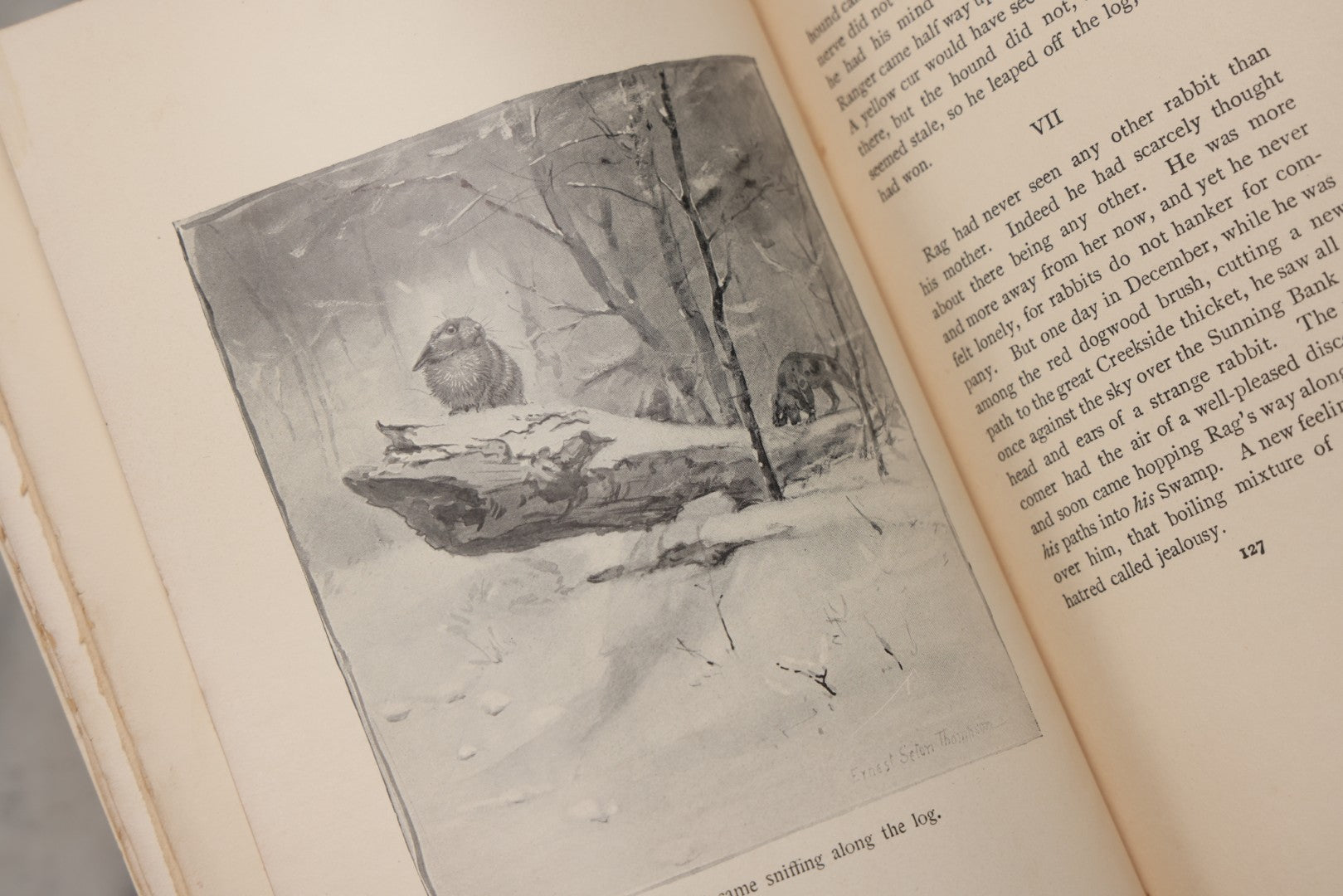 Lot 212 - "Wild Animals I Have Known" Antique Illustrated Book By Ernest Seton Thompson, Charles Scribner's Sons, New York, 1899