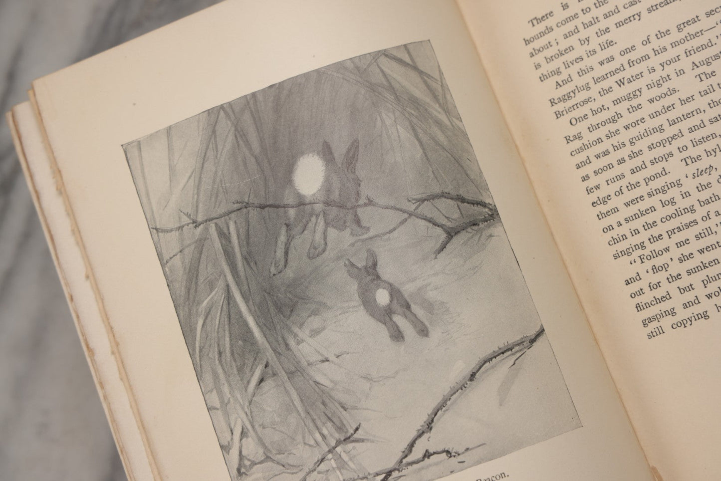 Lot 212 - "Wild Animals I Have Known" Antique Illustrated Book By Ernest Seton Thompson, Charles Scribner's Sons, New York, 1899