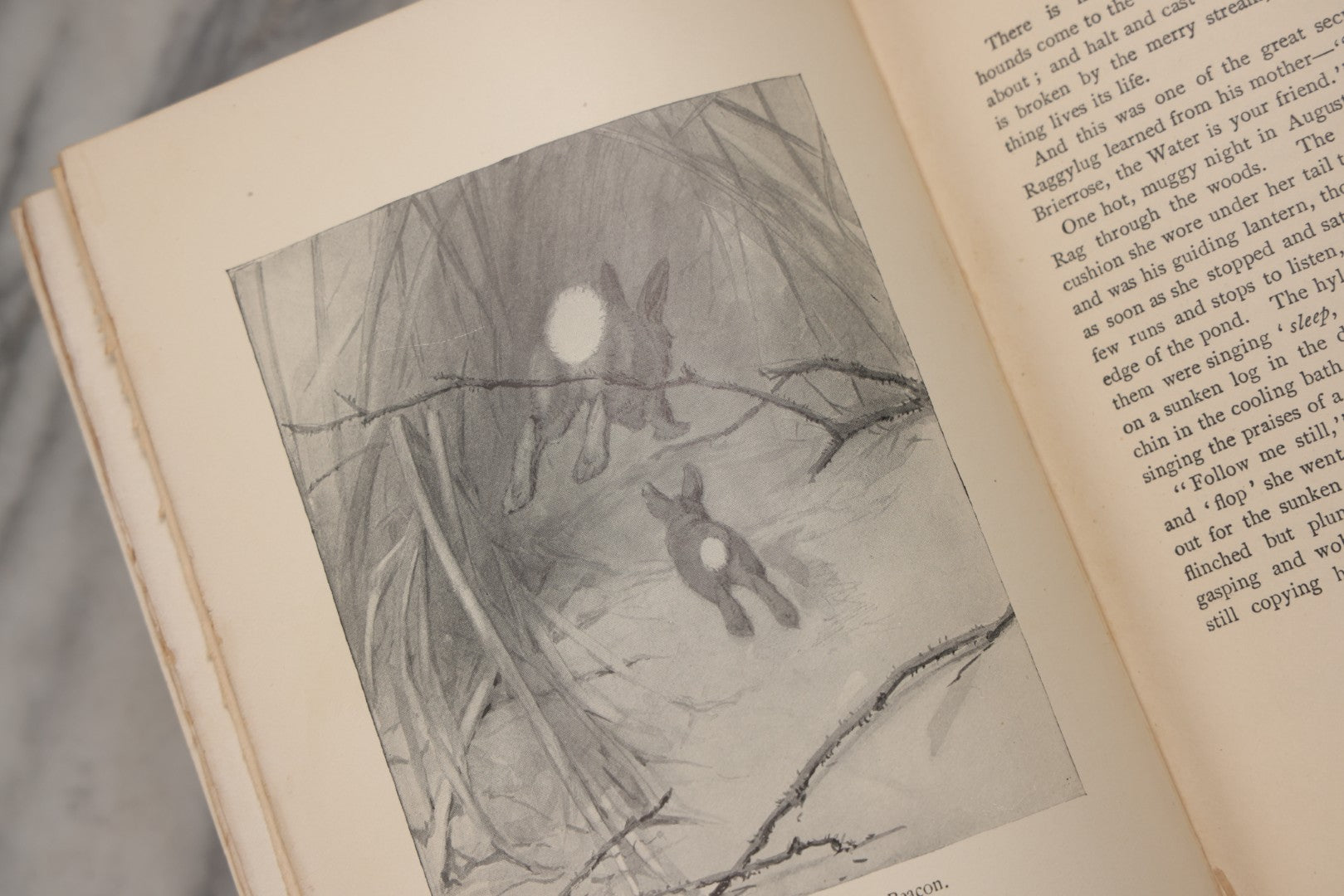 Lot 212 - "Wild Animals I Have Known" Antique Illustrated Book By Ernest Seton Thompson, Charles Scribner's Sons, New York, 1899