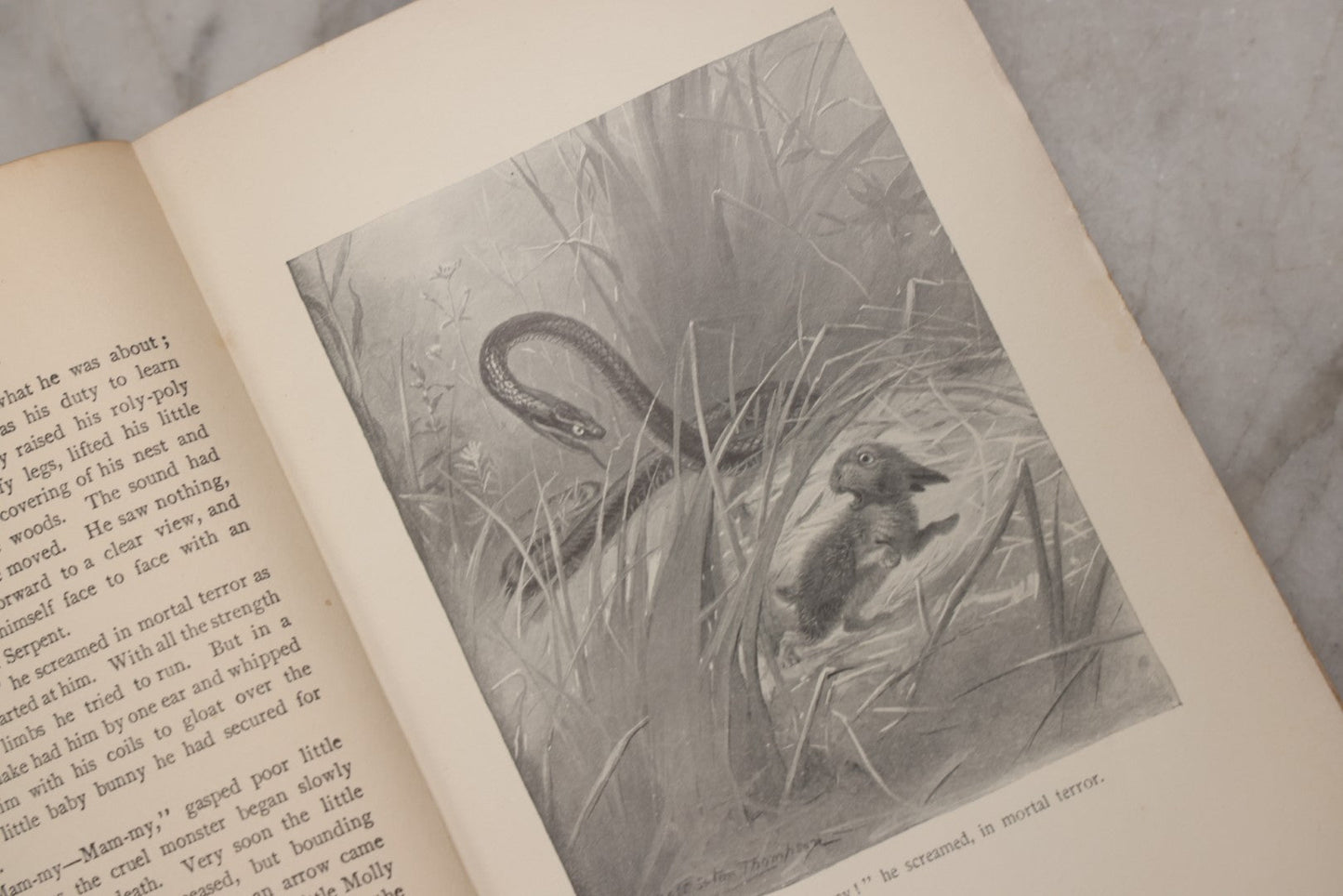 Lot 212 - "Wild Animals I Have Known" Antique Illustrated Book By Ernest Seton Thompson, Charles Scribner's Sons, New York, 1899