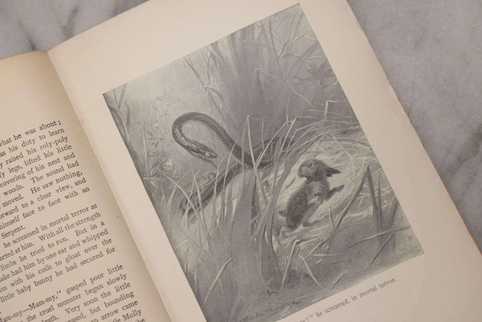 Lot 212 - "Wild Animals I Have Known" Antique Illustrated Book By Ernest Seton Thompson, Charles Scribner's Sons, New York, 1899