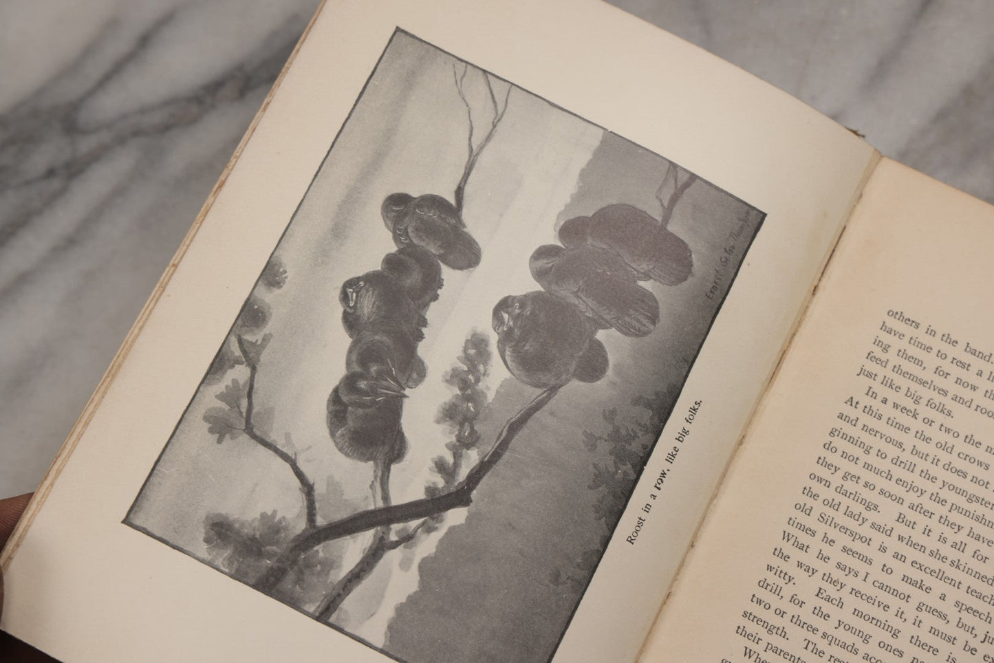 Lot 212 - "Wild Animals I Have Known" Antique Illustrated Book By Ernest Seton Thompson, Charles Scribner's Sons, New York, 1899