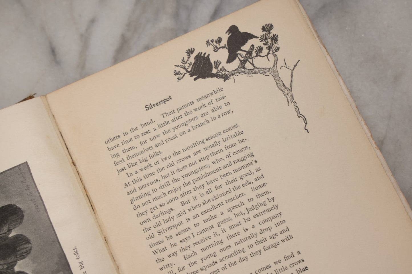 Lot 212 - "Wild Animals I Have Known" Antique Illustrated Book By Ernest Seton Thompson, Charles Scribner's Sons, New York, 1899