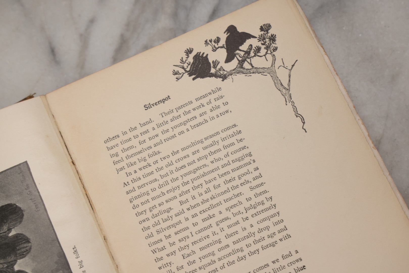 Lot 212 - "Wild Animals I Have Known" Antique Illustrated Book By Ernest Seton Thompson, Charles Scribner's Sons, New York, 1899