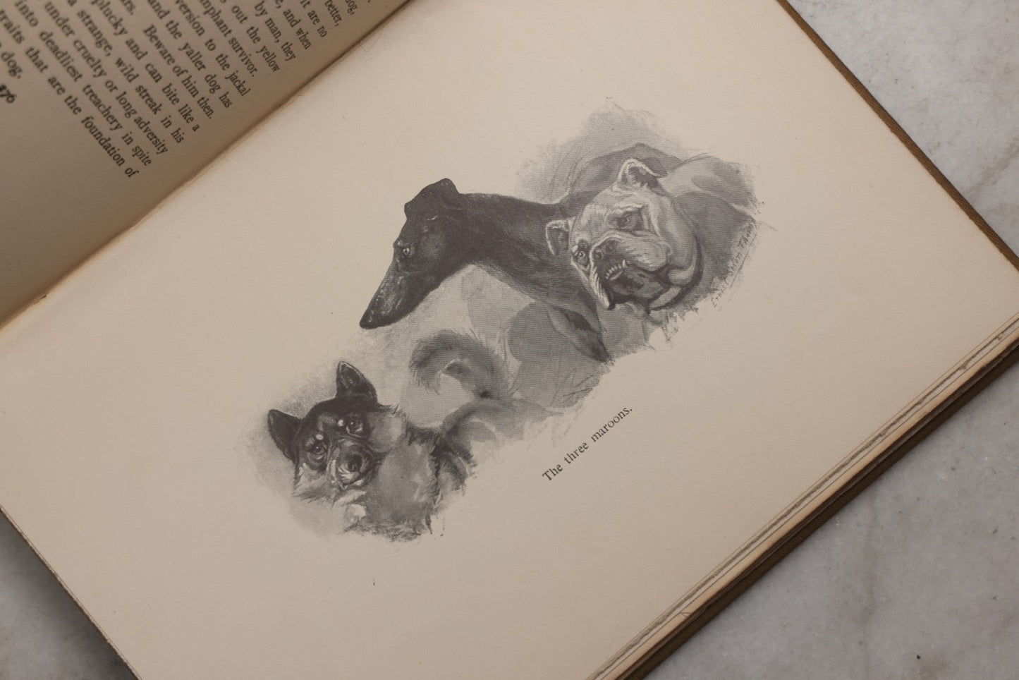 Lot 212 - "Wild Animals I Have Known" Antique Illustrated Book By Ernest Seton Thompson, Charles Scribner's Sons, New York, 1899