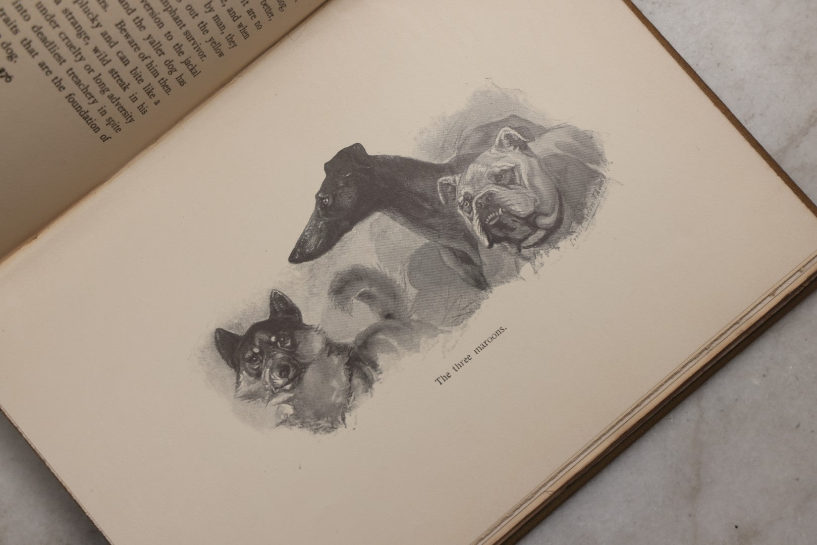 Lot 212 - "Wild Animals I Have Known" Antique Illustrated Book By Ernest Seton Thompson, Charles Scribner's Sons, New York, 1899