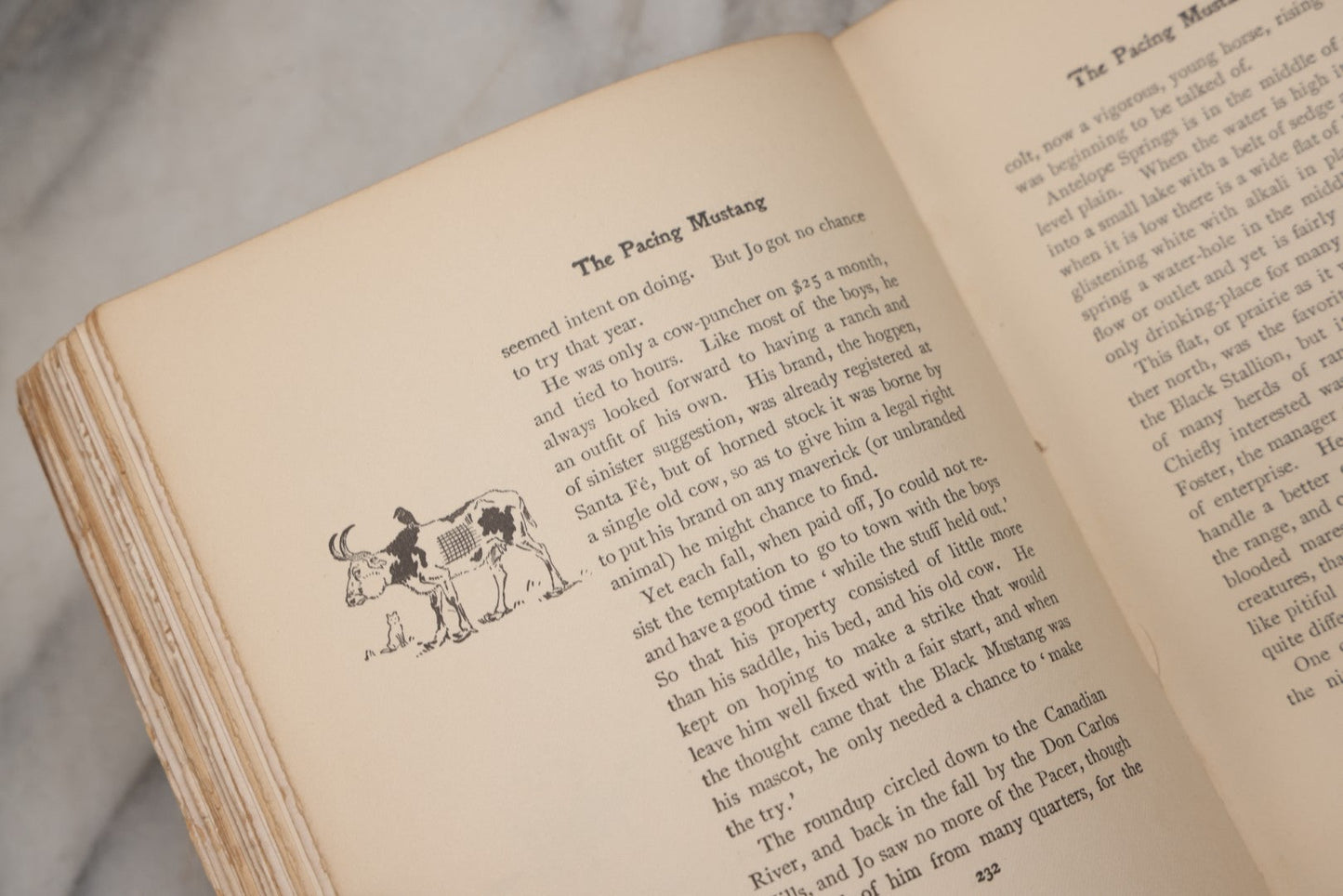 Lot 212 - "Wild Animals I Have Known" Antique Illustrated Book By Ernest Seton Thompson, Charles Scribner's Sons, New York, 1899