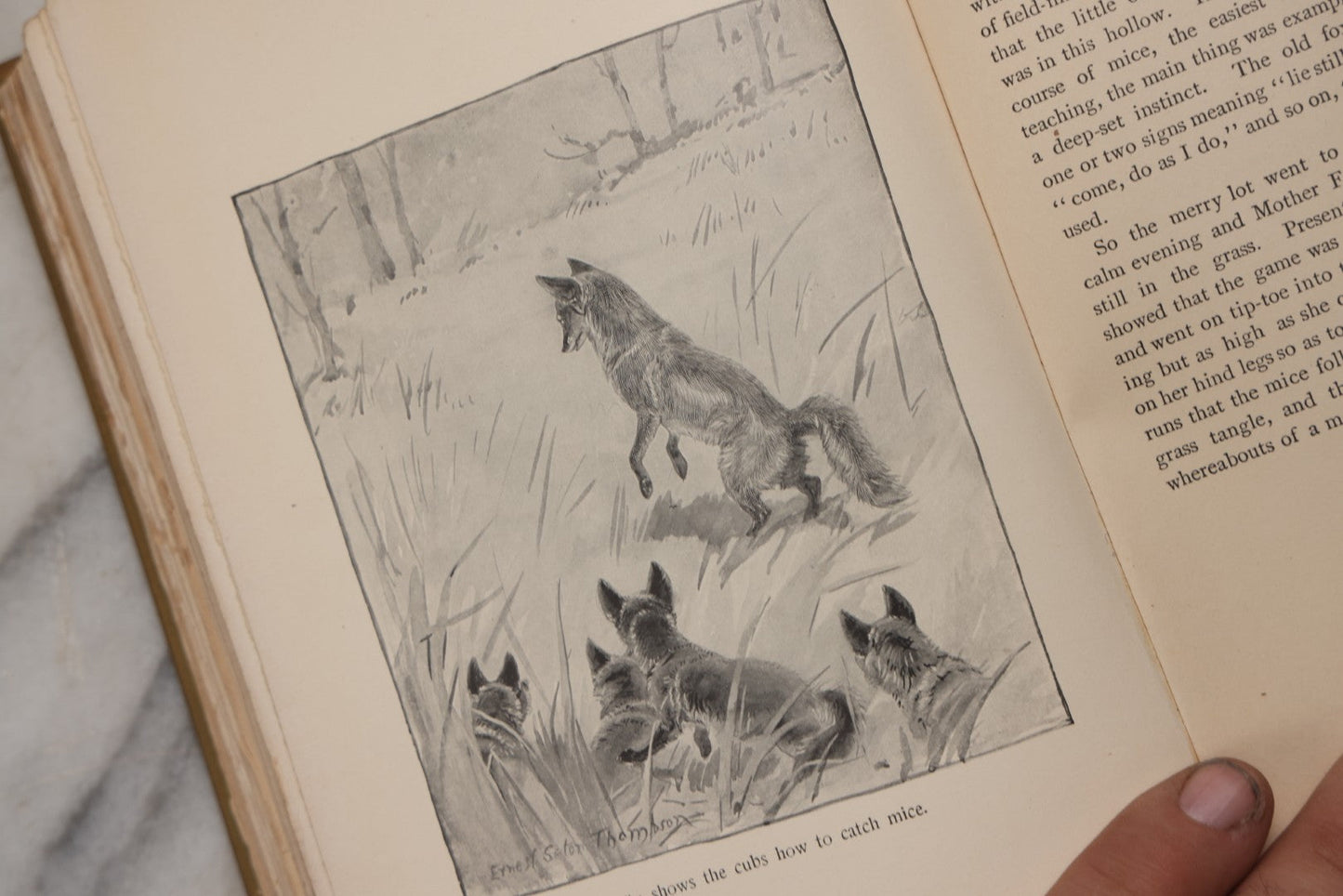 Lot 212 - "Wild Animals I Have Known" Antique Illustrated Book By Ernest Seton Thompson, Charles Scribner's Sons, New York, 1899