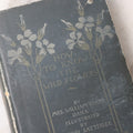 Lot 073 - "How To Know The Wild Flowers" Antique Botanical Field Guide By Mrs. William Starr Dana, Illustrated By Marion Satterlee, Published By Charles Scribner's Sons, New York, 1894