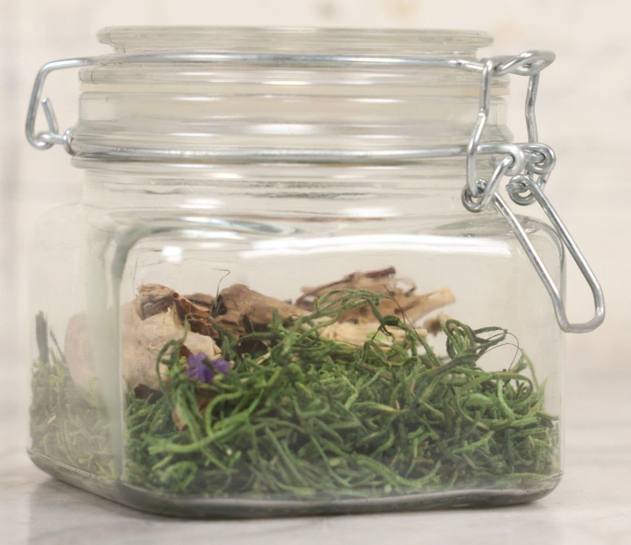 Lot 139 - Modern Taxidermy Oddity Display Jar Containing Mummified Rodent Remains With Faux Moss Fill