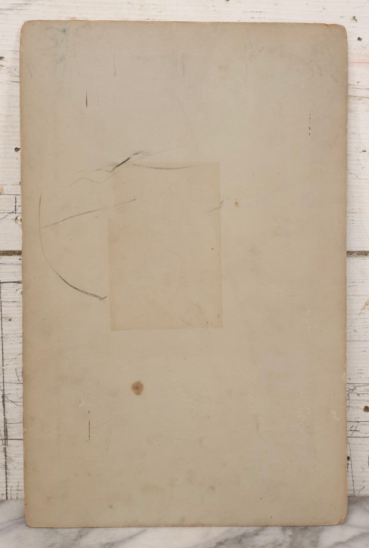 Lot 154 - Antique Boarded Photograph Of Young Girl In White Dress Playing Ornate Harp, Photographed By Belsmith, Cincinnati, Ohio