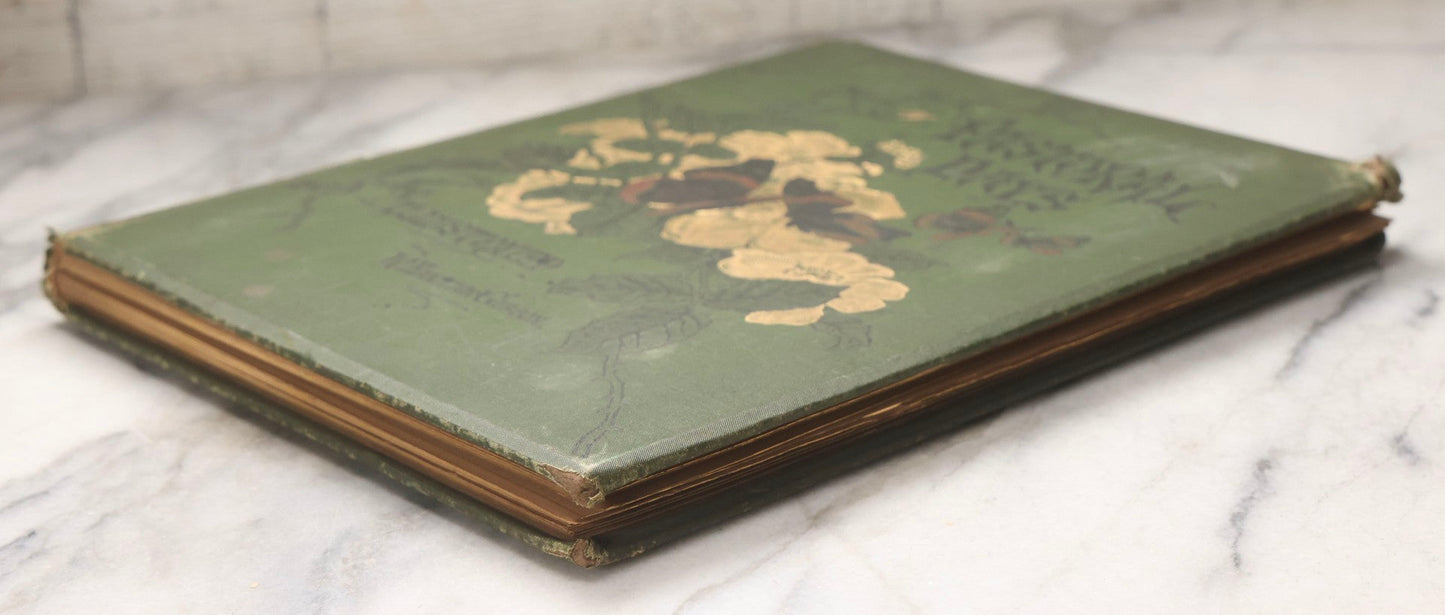 Lot 202 - "Pastoral Days; Or, Memories Of A New England Year" Antique Book By W. Hamilton Gibson, 70+ Engraved Illustrations By The Author, Harper & Brothers, New York, 1881, Craft Grade Condition