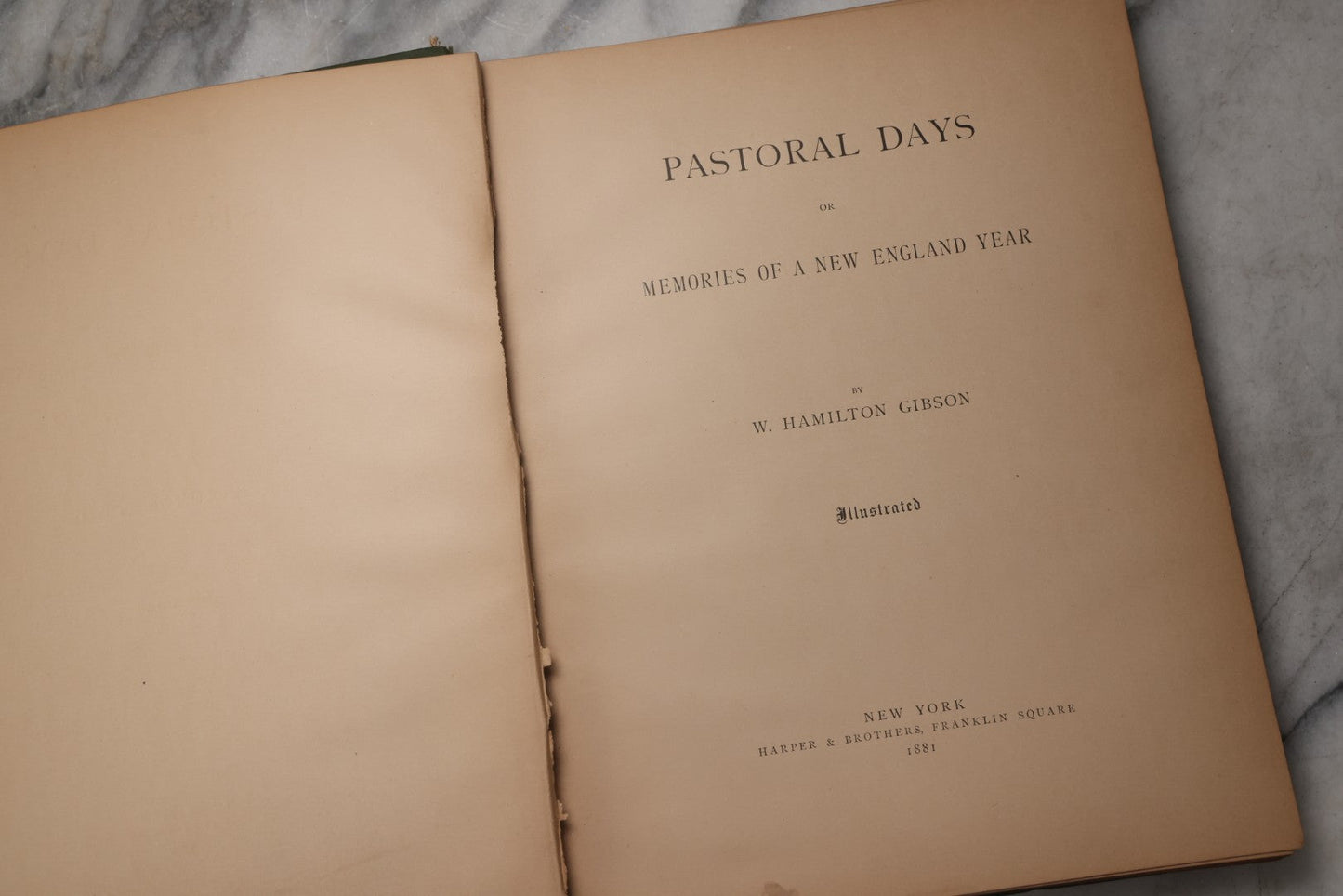 Lot 202 - "Pastoral Days; Or, Memories Of A New England Year" Antique Book By W. Hamilton Gibson, 70+ Engraved Illustrations By The Author, Harper & Brothers, New York, 1881, Craft Grade Condition