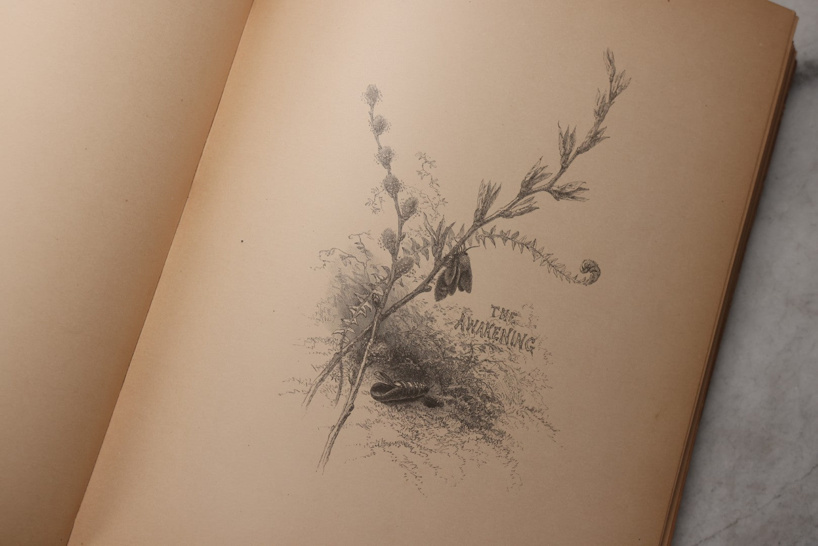 Lot 202 - "Pastoral Days; Or, Memories Of A New England Year" Antique Book By W. Hamilton Gibson, 70+ Engraved Illustrations By The Author, Harper & Brothers, New York, 1881, Craft Grade Condition
