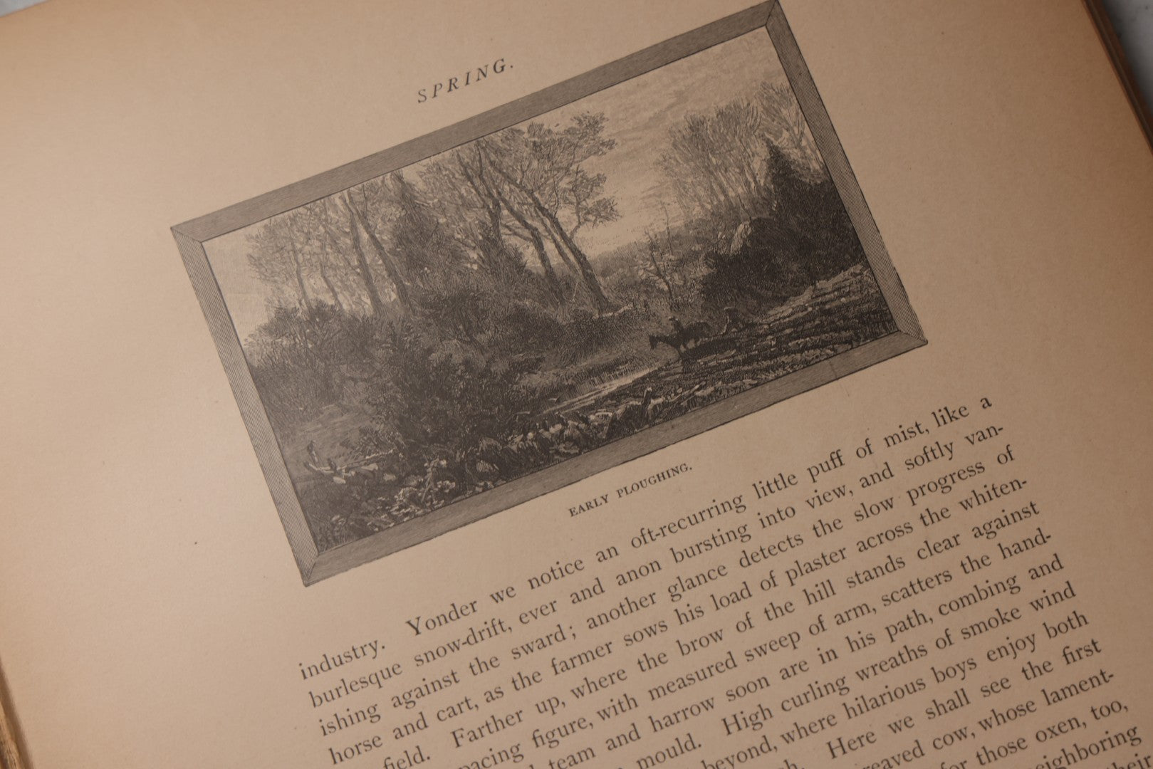 Lot 202 - "Pastoral Days; Or, Memories Of A New England Year" Antique Book By W. Hamilton Gibson, 70+ Engraved Illustrations By The Author, Harper & Brothers, New York, 1881, Craft Grade Condition