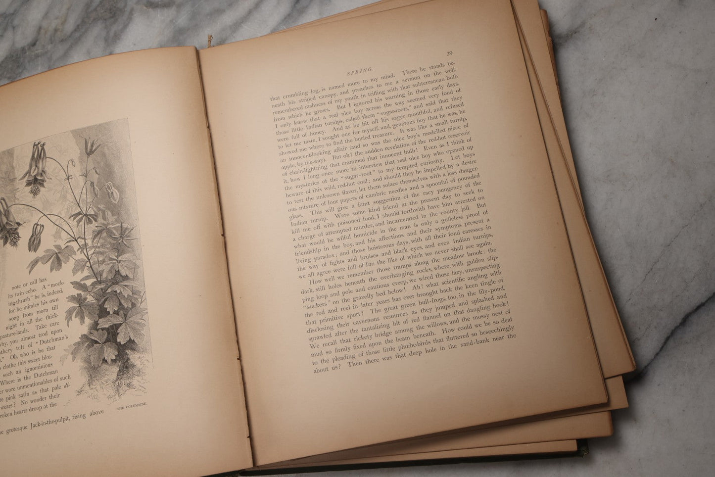 Lot 202 - "Pastoral Days; Or, Memories Of A New England Year" Antique Book By W. Hamilton Gibson, 70+ Engraved Illustrations By The Author, Harper & Brothers, New York, 1881, Craft Grade Condition