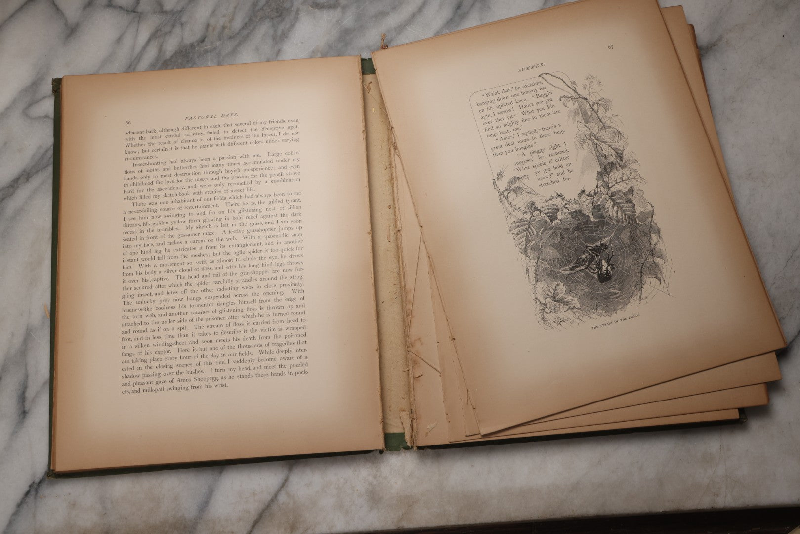 Lot 202 - "Pastoral Days; Or, Memories Of A New England Year" Antique Book By W. Hamilton Gibson, 70+ Engraved Illustrations By The Author, Harper & Brothers, New York, 1881, Craft Grade Condition