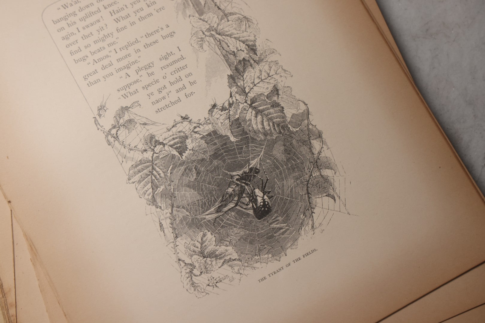 Lot 202 - "Pastoral Days; Or, Memories Of A New England Year" Antique Book By W. Hamilton Gibson, 70+ Engraved Illustrations By The Author, Harper & Brothers, New York, 1881, Craft Grade Condition