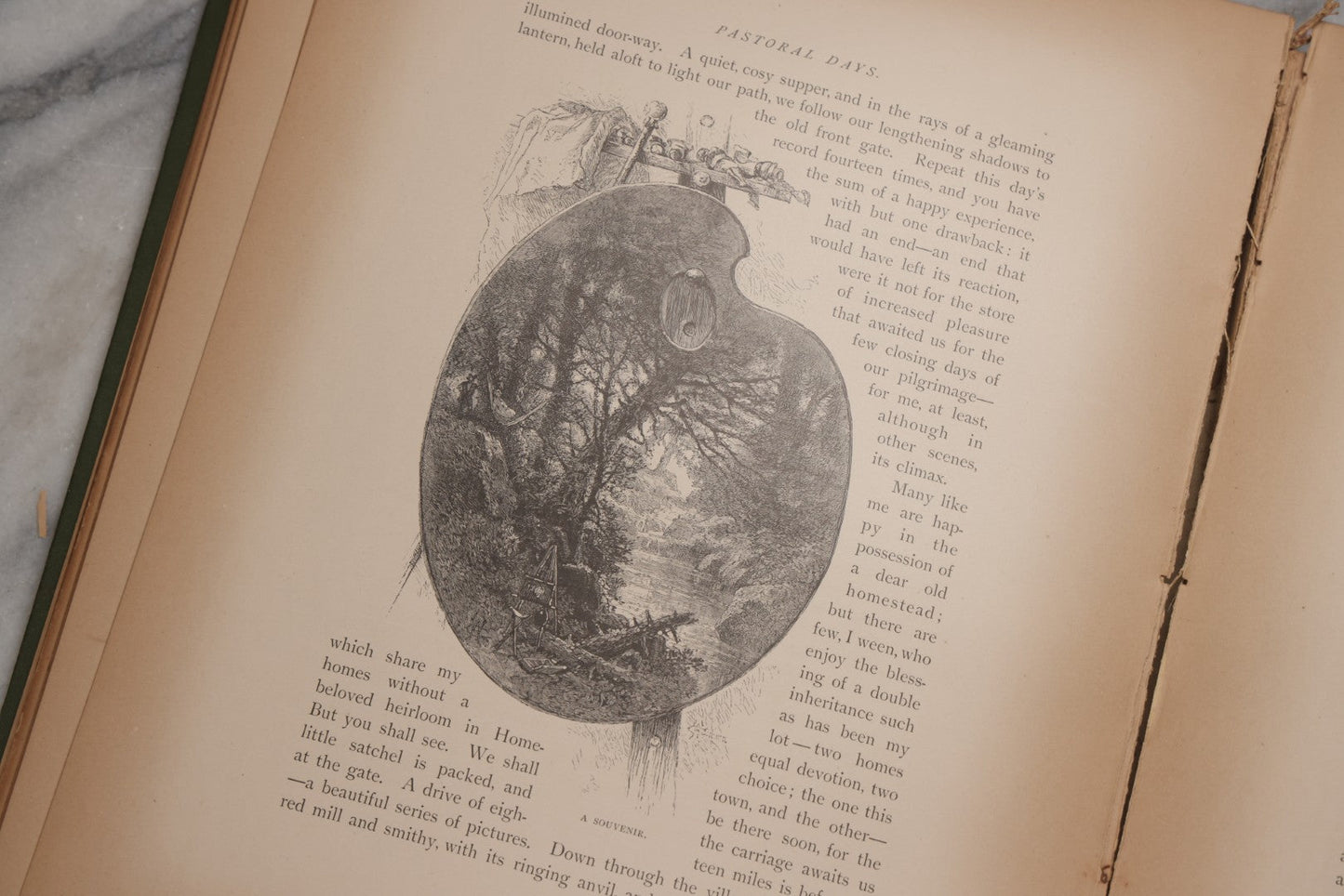 Lot 202 - "Pastoral Days; Or, Memories Of A New England Year" Antique Book By W. Hamilton Gibson, 70+ Engraved Illustrations By The Author, Harper & Brothers, New York, 1881, Craft Grade Condition