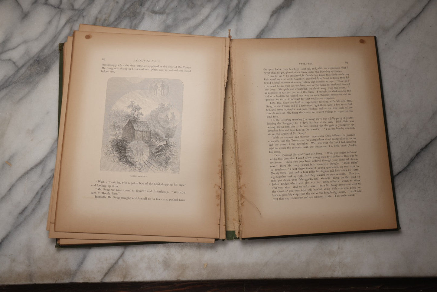 Lot 202 - "Pastoral Days; Or, Memories Of A New England Year" Antique Book By W. Hamilton Gibson, 70+ Engraved Illustrations By The Author, Harper & Brothers, New York, 1881, Craft Grade Condition
