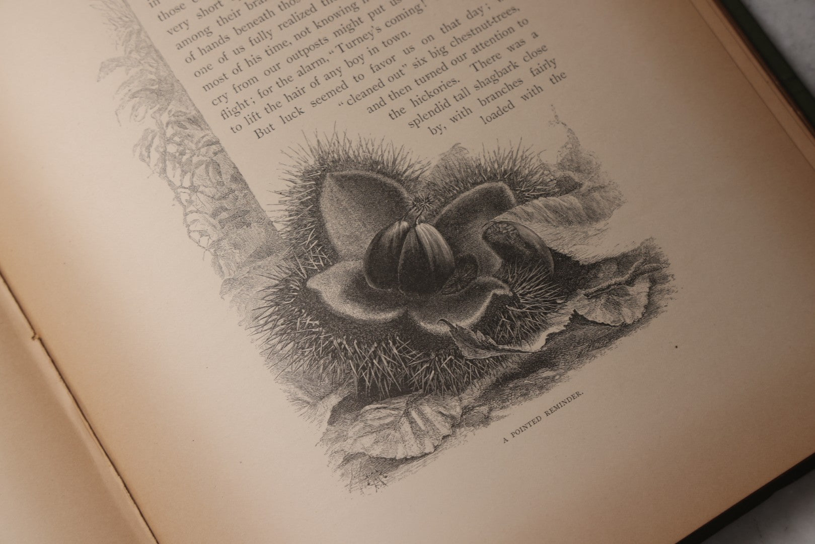 Lot 202 - "Pastoral Days; Or, Memories Of A New England Year" Antique Book By W. Hamilton Gibson, 70+ Engraved Illustrations By The Author, Harper & Brothers, New York, 1881, Craft Grade Condition