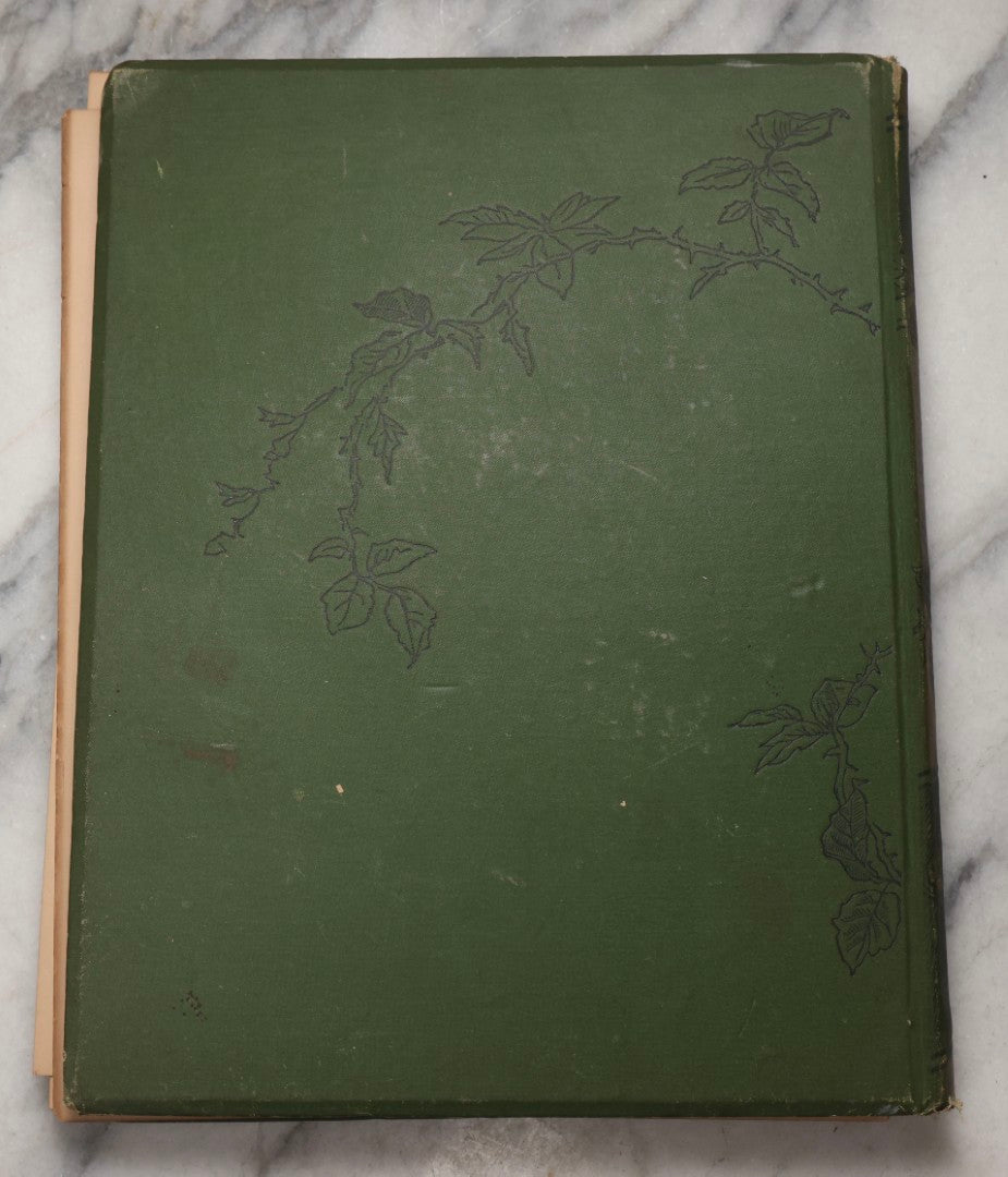 Lot 202 - "Pastoral Days; Or, Memories Of A New England Year" Antique Book By W. Hamilton Gibson, 70+ Engraved Illustrations By The Author, Harper & Brothers, New York, 1881, Craft Grade Condition