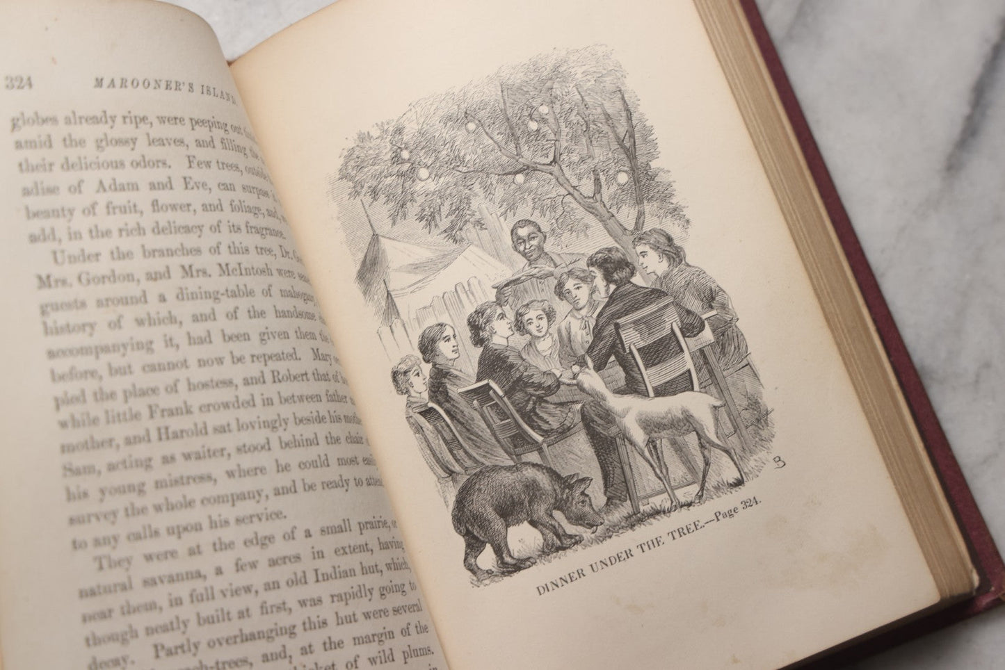 Lot 204 - "Marooner's Island; Or, Dr. Gordon In Search Of His Children" Antique Illustrated Adventure Book By F. R. Goulding, Published By Claxton, Remsen & Haffelfinger, Philadelphia, 1871